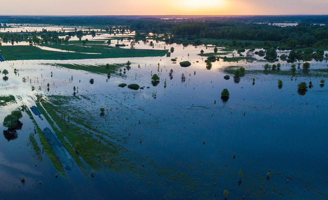 When a water supply well has been affected by flood waters, the water within the well may be contaminated with bacteria or other microorganisms that can cause serious illness in humans and pets.